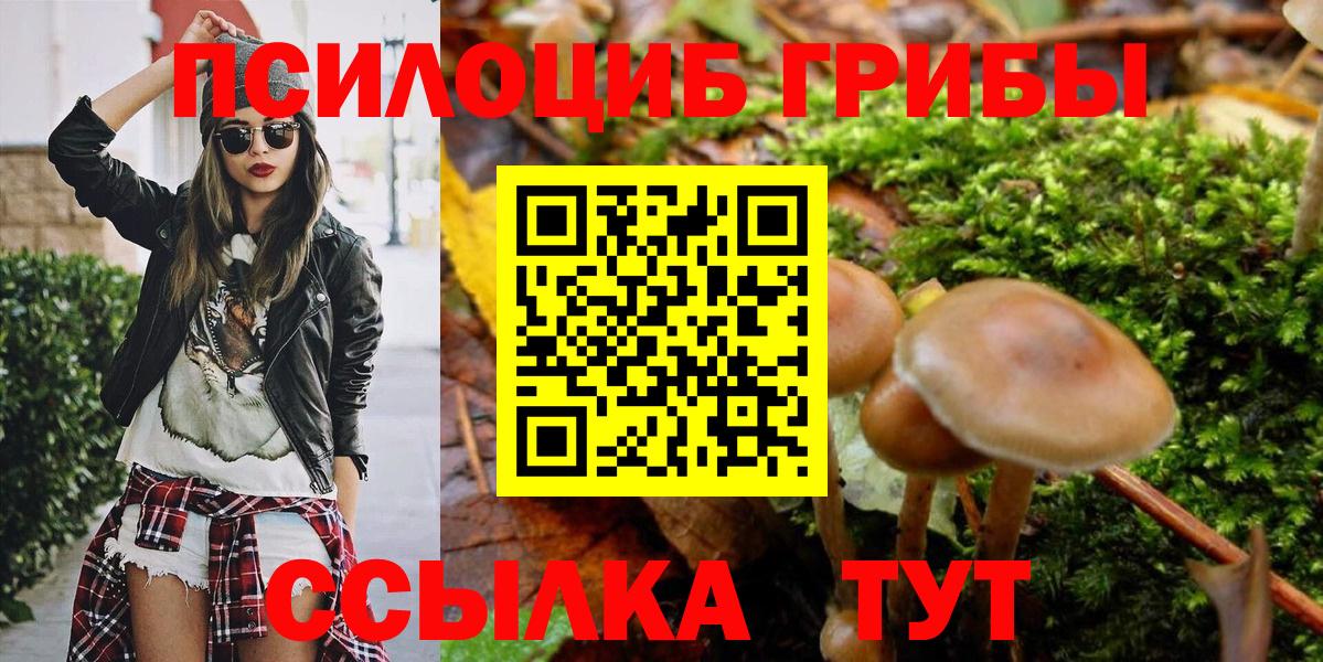Галлюциногенные грибы мицелий  Вход с VPN  Галлюциногенные грибы ЛСД  Чайковский 